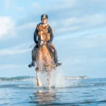 Reiten in der Ostsee