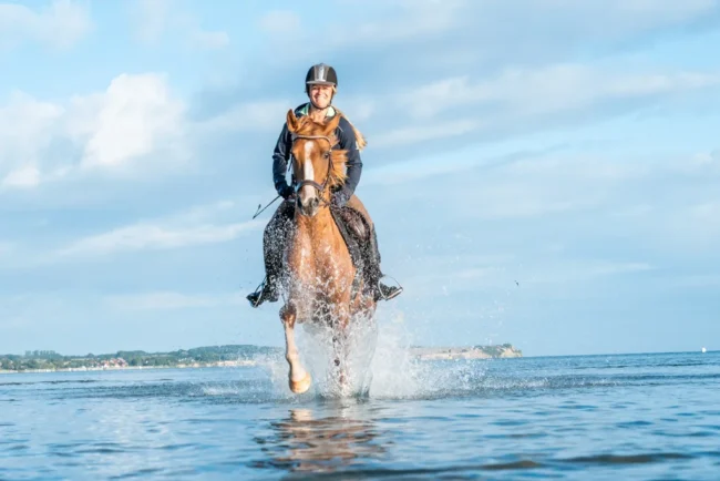 Reiten in der Ostsee