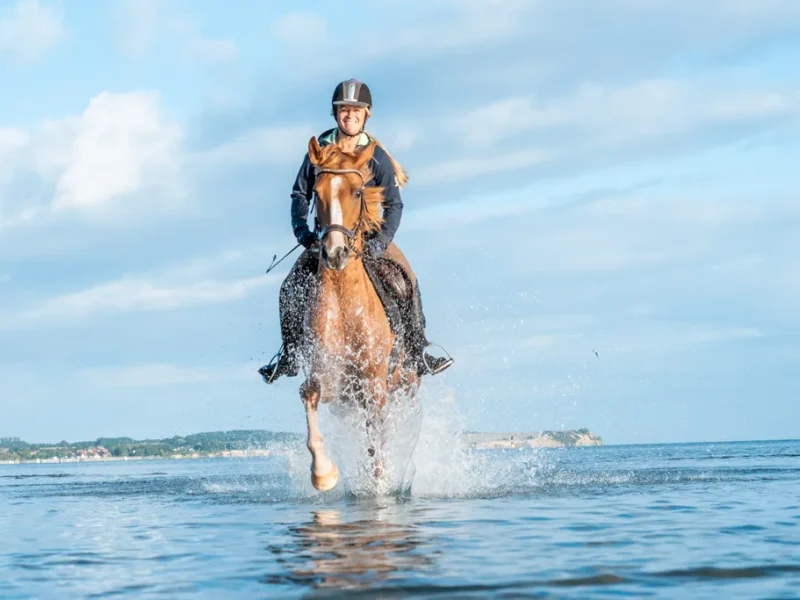 Reiten in der Ostsee