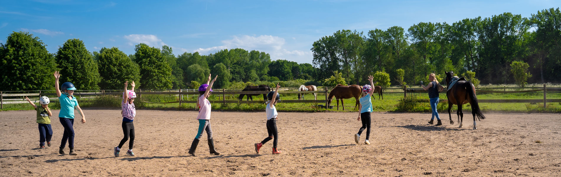 Ferienangebote Volticamp und Reitcamp
