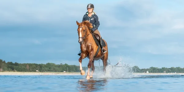 Reiten an der Ostsee