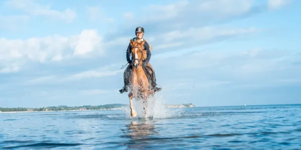 Reiten am Strand in Boltenhagen