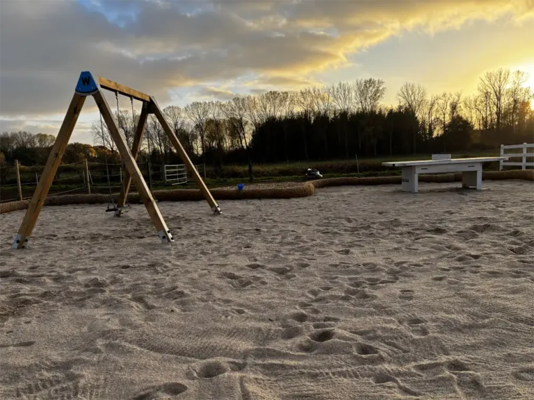 Schaukel und Tischtennisplatte