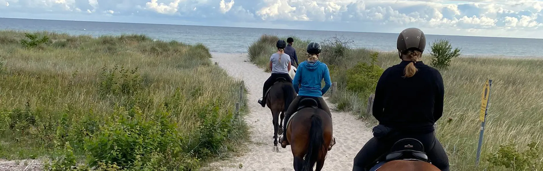 Ferienwohnung Ostsee buchen