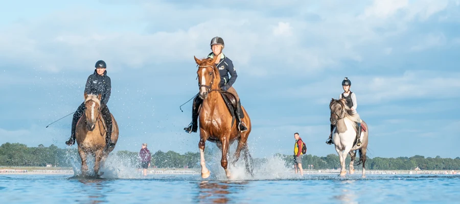 Reitabenteuer Ostsee