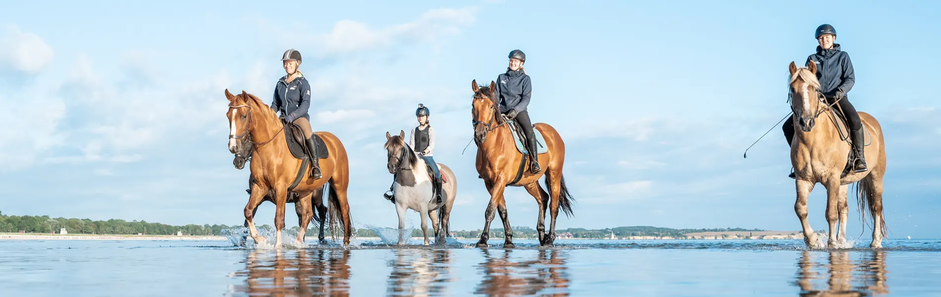 Reiturlaub für Erwachsene mit Strandausritt